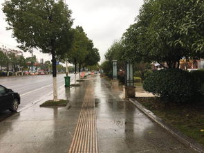 谭桥街道多措并举，着力规范二手车交易市场经营秩序