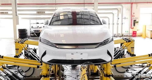 新能车每日快讯 比亚迪与特斯拉动态更新，10月19日二手车交易市场经营观察